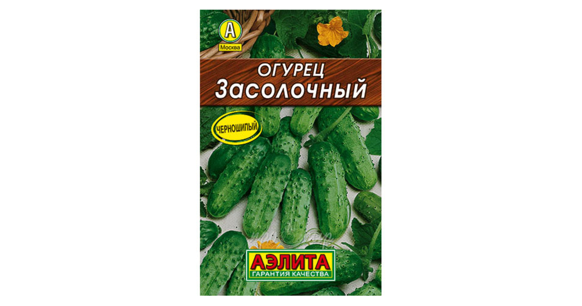 Огурец засолочный фото